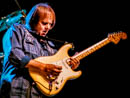 Walter Trout