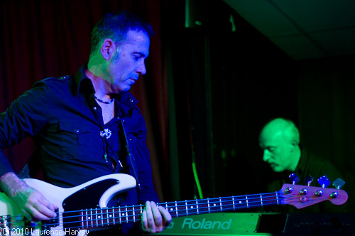Derek White on bass