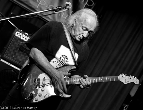 Tony McPhee on guitar