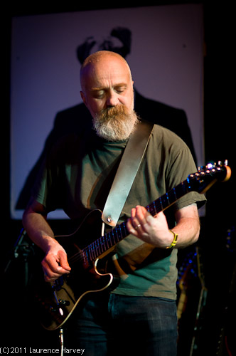 Steg on guitar