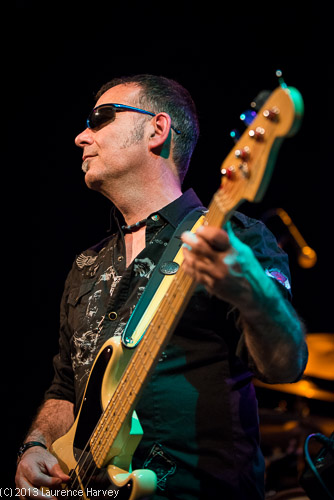 Derek White on bass