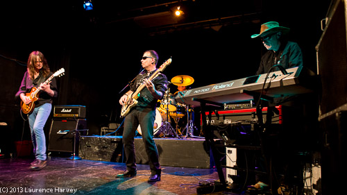 Larry Miller Band on stage