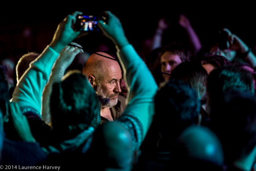 Fish taking a wander in the crowd