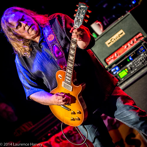 Warren Haynes on guitar & vocals