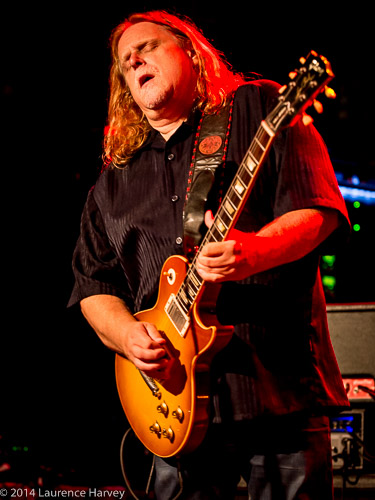 Warren Haynes on guitar & vocals