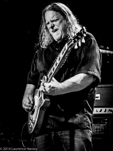 Warren Haynes on guitar & vocals