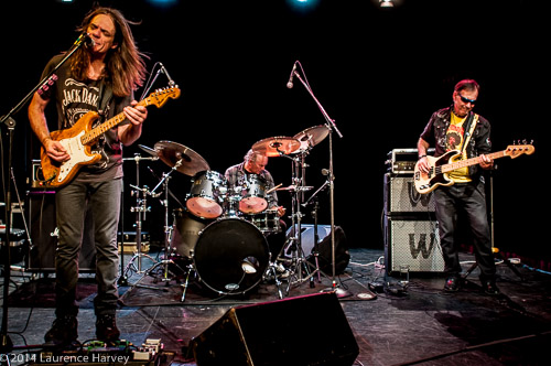 Larry Miller band on stage