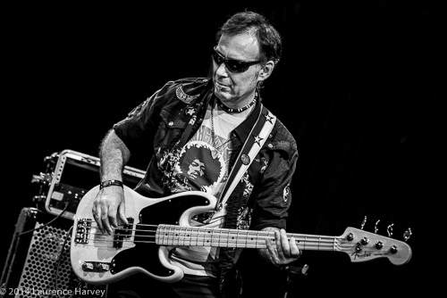 Derek White on bass