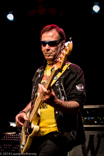 Derek White on bass
