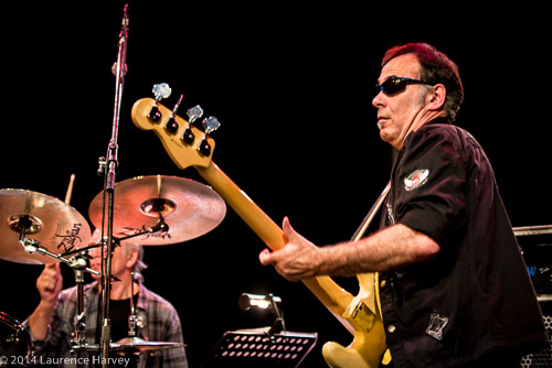 Derek White on bass