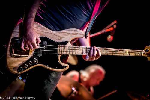 Robin Bass's  guitar - up close