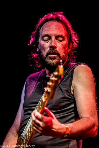 Robin Bass on bass guitar