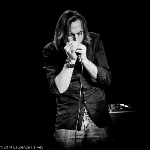 Lee Vernon of Pearl Handled Revolver on harmonica