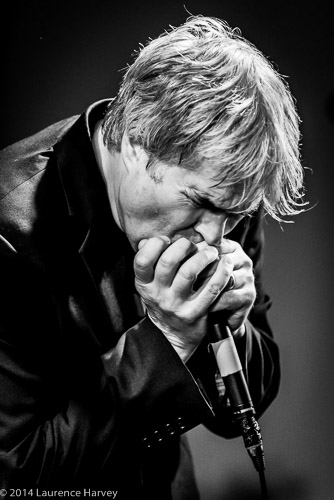 Stuart 'Son' Maxwell on harp