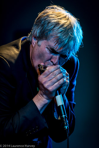 Stuart 'Son' Maxwell on harp