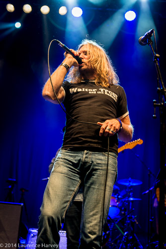 Andrew Elt