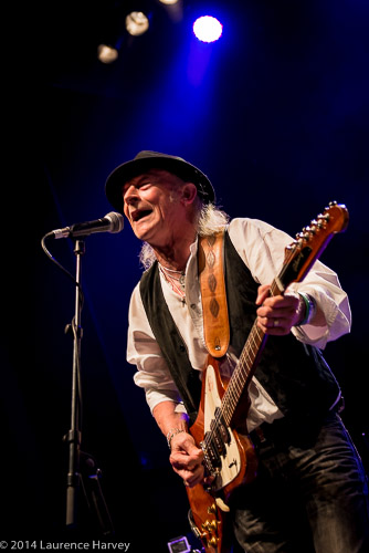 Del Bromham of Stray