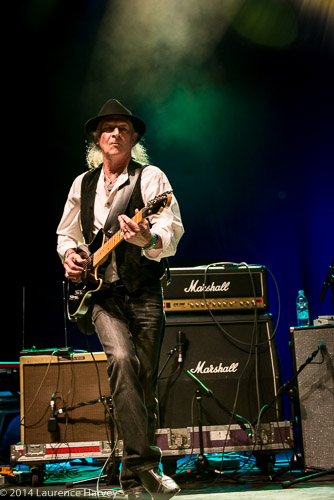 Del Bromham of Stray
