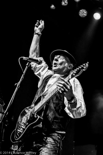Del Bromham of Stray