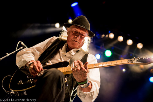 Del Bromham of Stray