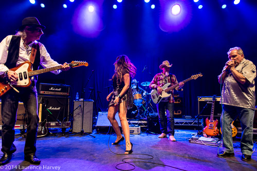 Stray with Cherry Lee Mewis & Stevie Smith