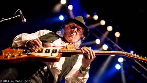 Del Bromham of Stray