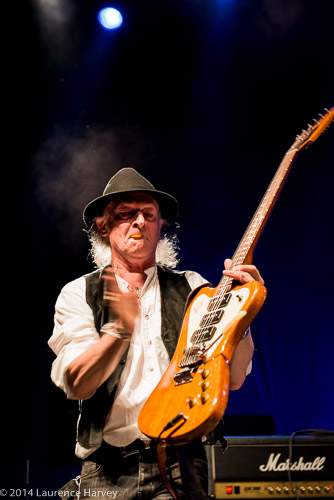Del Bromham of Stray