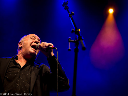 Roger Chapman, ex Family