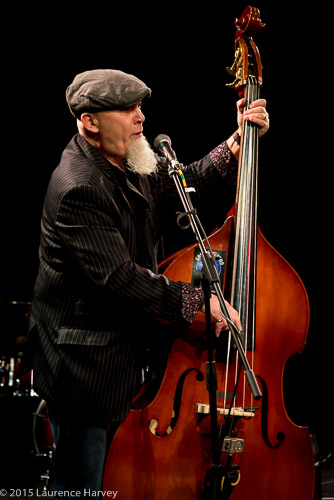 Robbie Stewart-Matthews on double bass