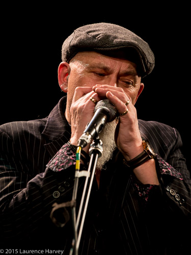 Robbie Stewart-Matthews on harmonica