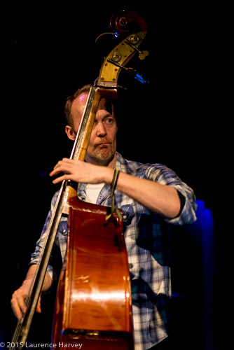 Niall Kelly's double bass player