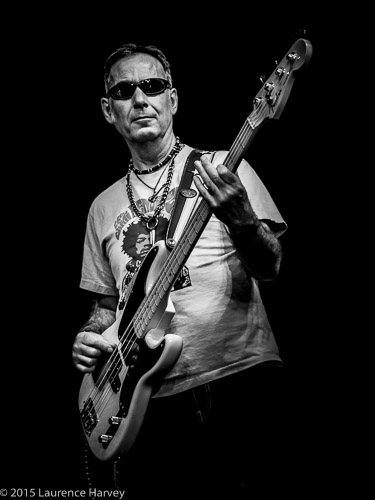 Derek White on bass
