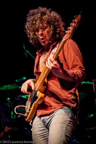 Elad Shapiro on bass
