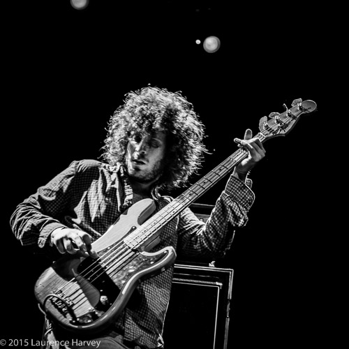 Elad Shapiro on bass