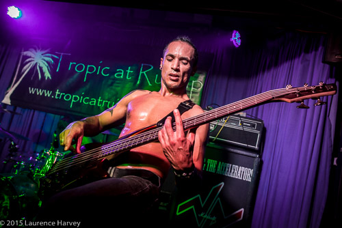 Joel Wildgoose on bass