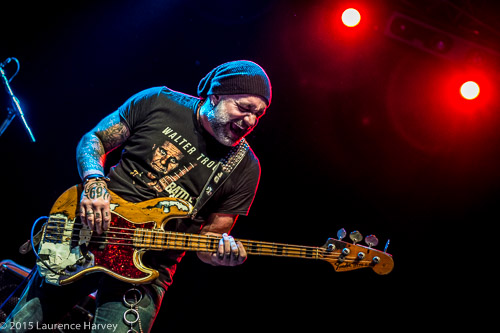 Johnny Griparic on bass
