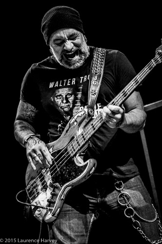 Johnny Griparic on bass