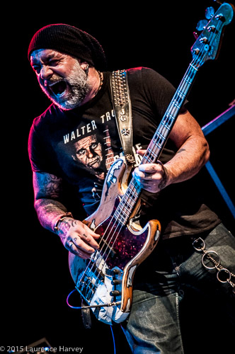 Johnny Griparic on bass