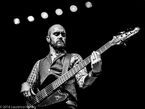 Clint Warren Falconer on bass