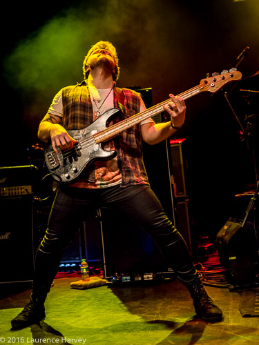 Colin Parkinson on bass