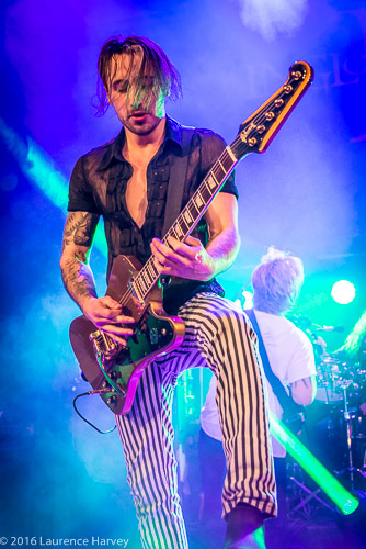 Wil Taylor on guitar