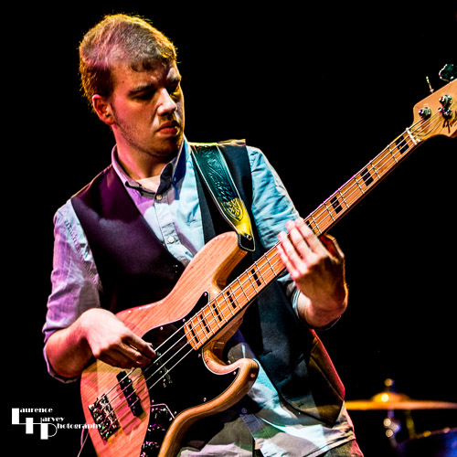 Dan Collins on bass