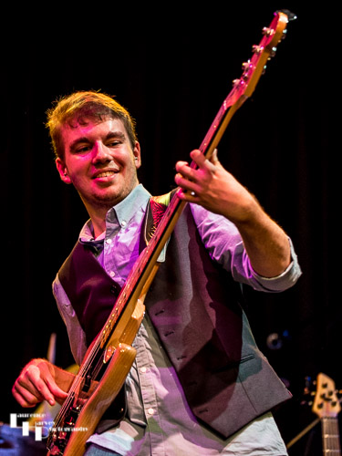 Dan Collins on bass
