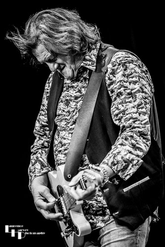 Bill Mead on guitar and lead vocals