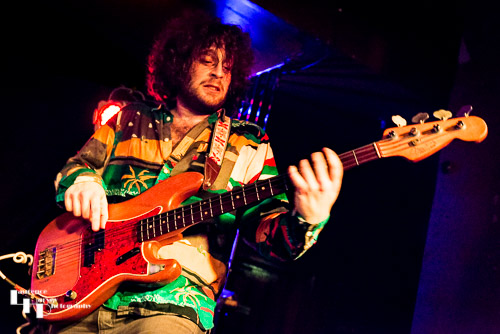 Elad Shapiro on bass