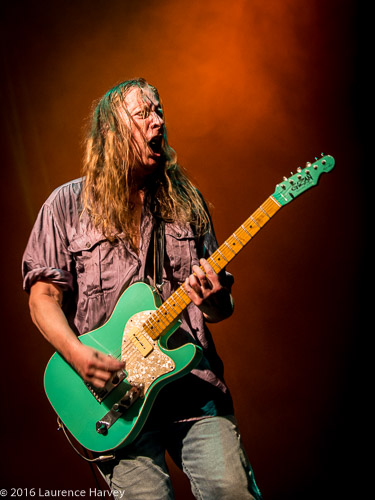 Innes Sibun on guitar