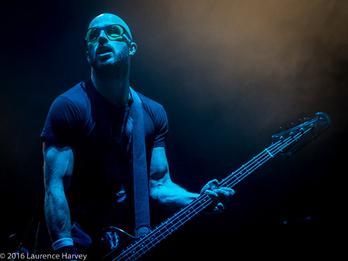 Leigh Marklew on bass