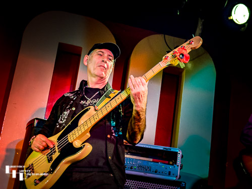 Derek White on bass