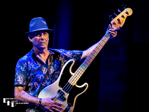 Derek White on bass