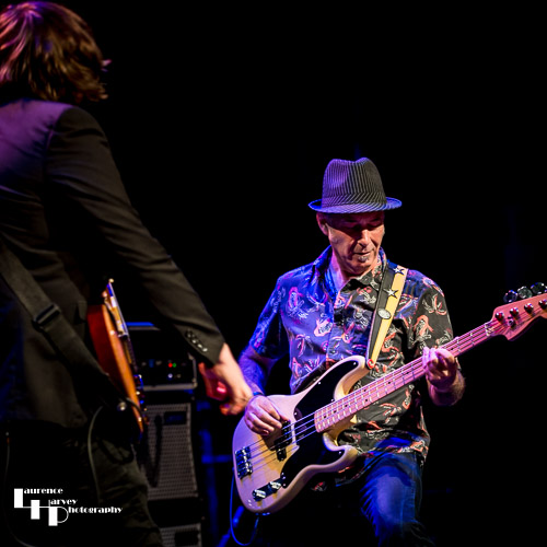 Derek White on bass